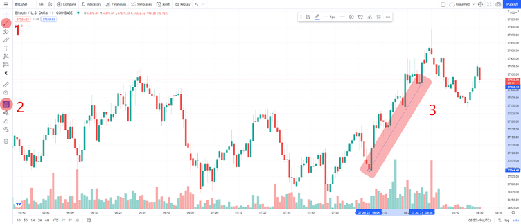 Trend Line TW