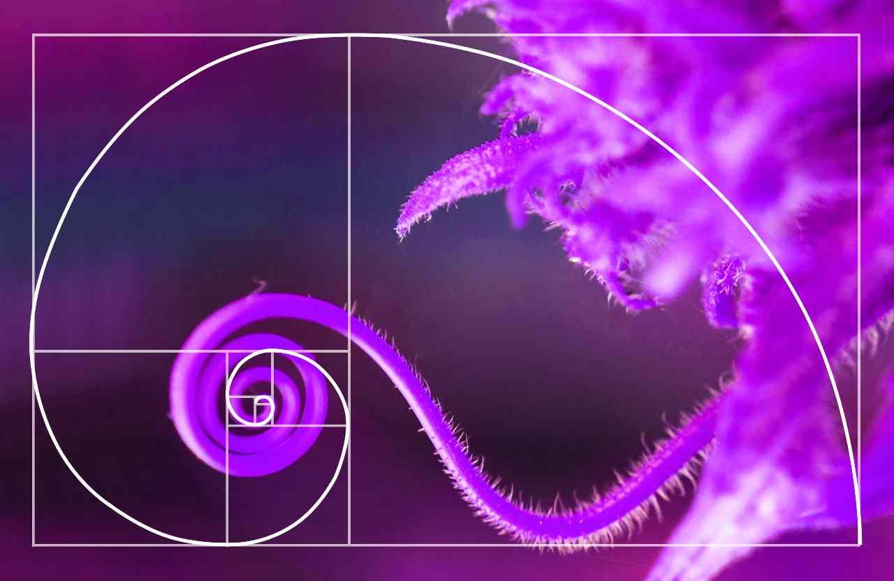 ritracciamento fibonacci