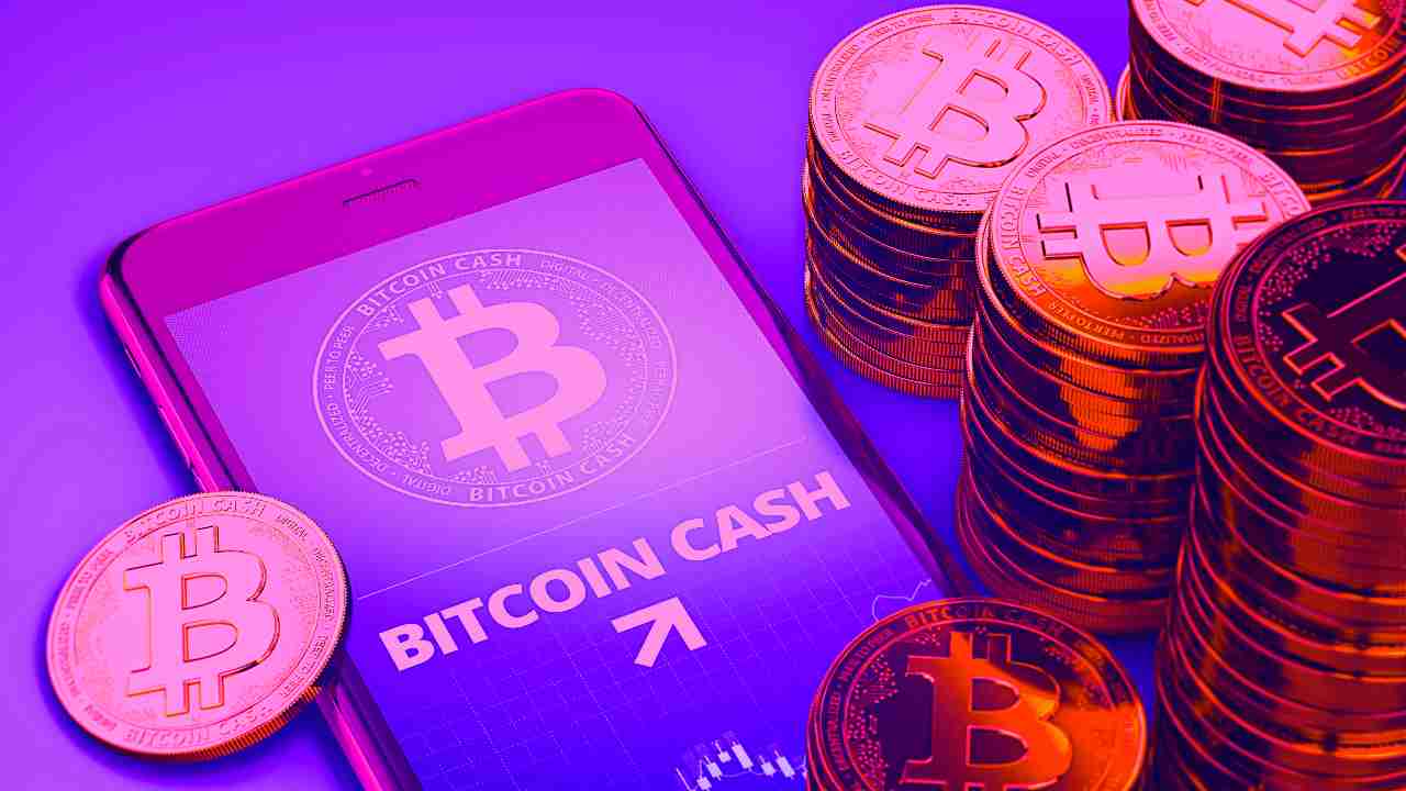 bitcoin cash bch