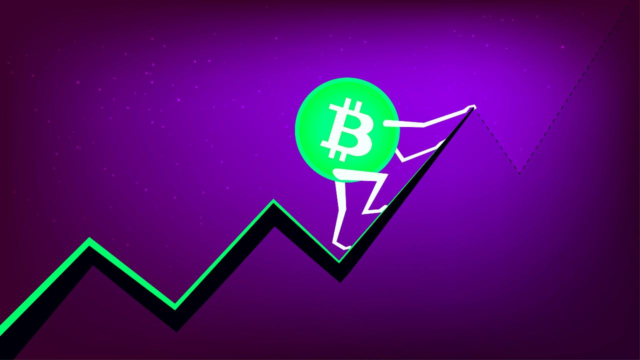 bitcoin dominance