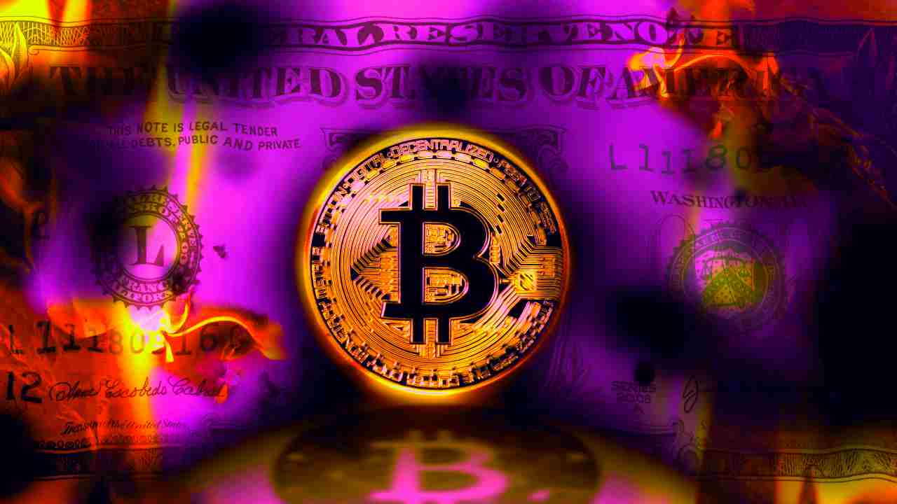 bitcoin vs dollaro fiat criptovalute