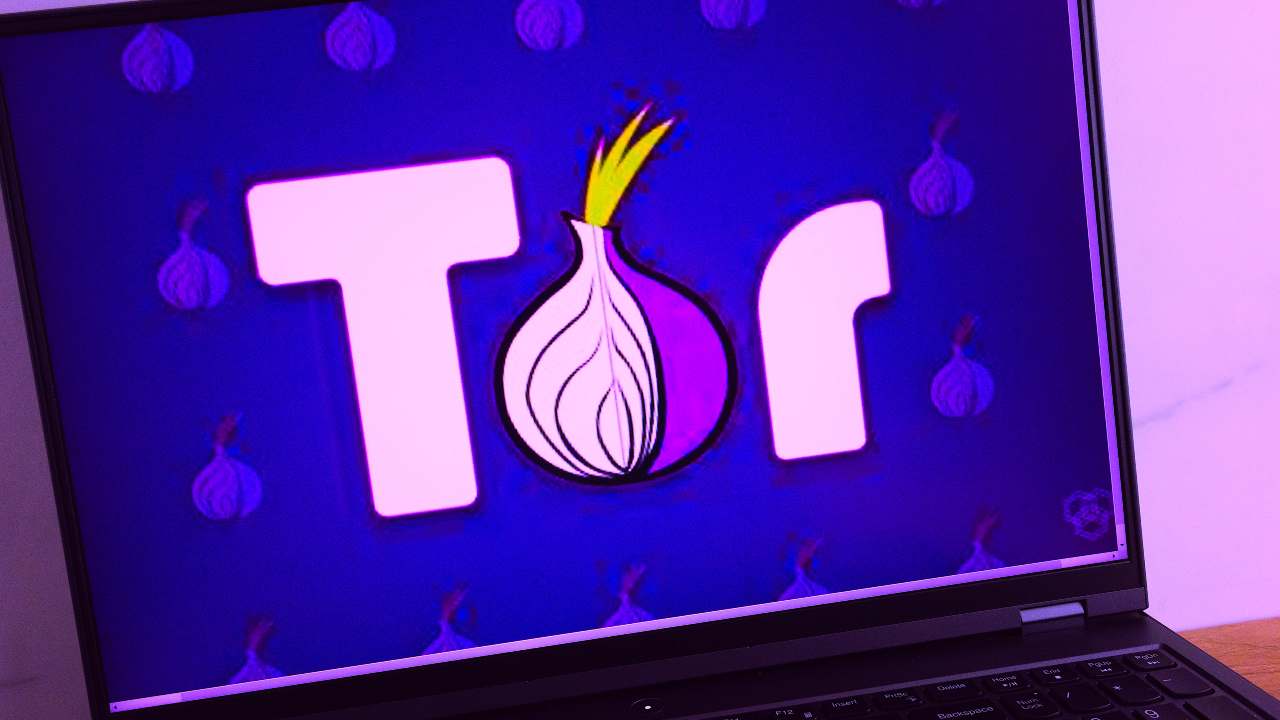 tor network browser