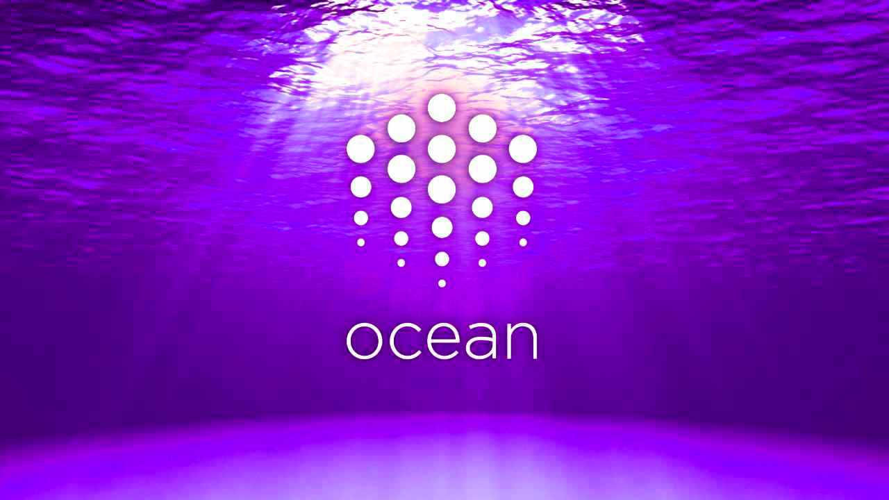 ocean protocol