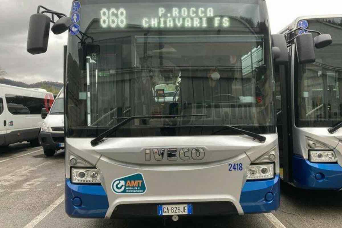 bonus trasporti anziani