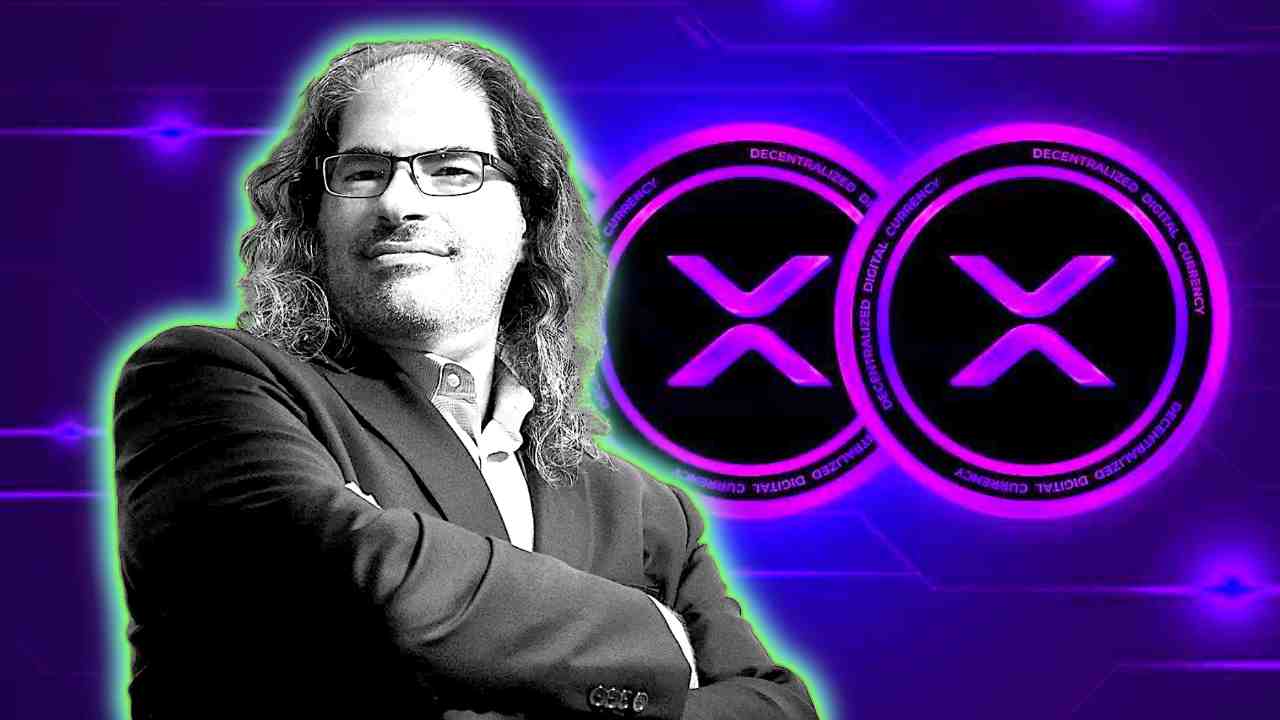 david schwartz ripple xrp