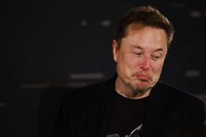 Elon Musk Cripto GFY quanto vale