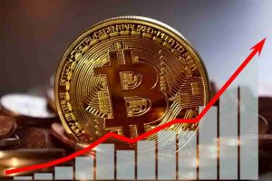 investire in criptovalute