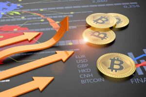 gli italiani non sono abbastanza informati sulle criptovalute