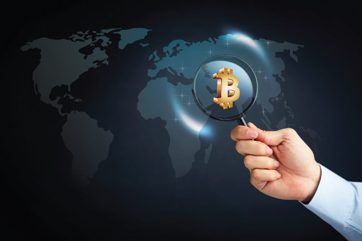 su quali criptovalute investire nel 2024