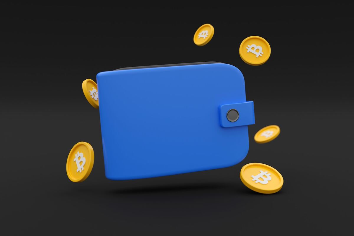 Che cos'è un portafoglio cripto