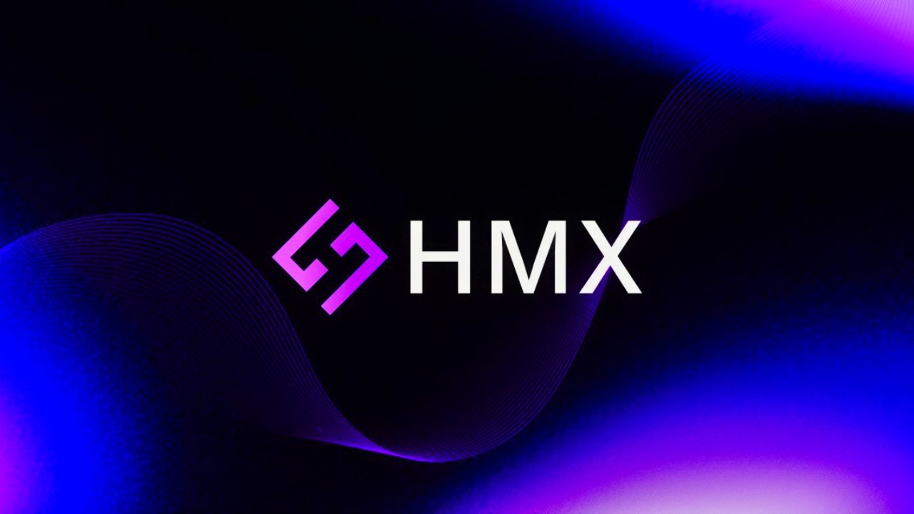 hmx crypto