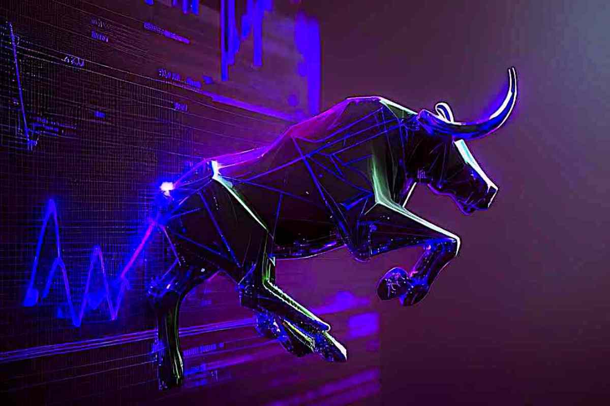 bitcoin bull market bull run