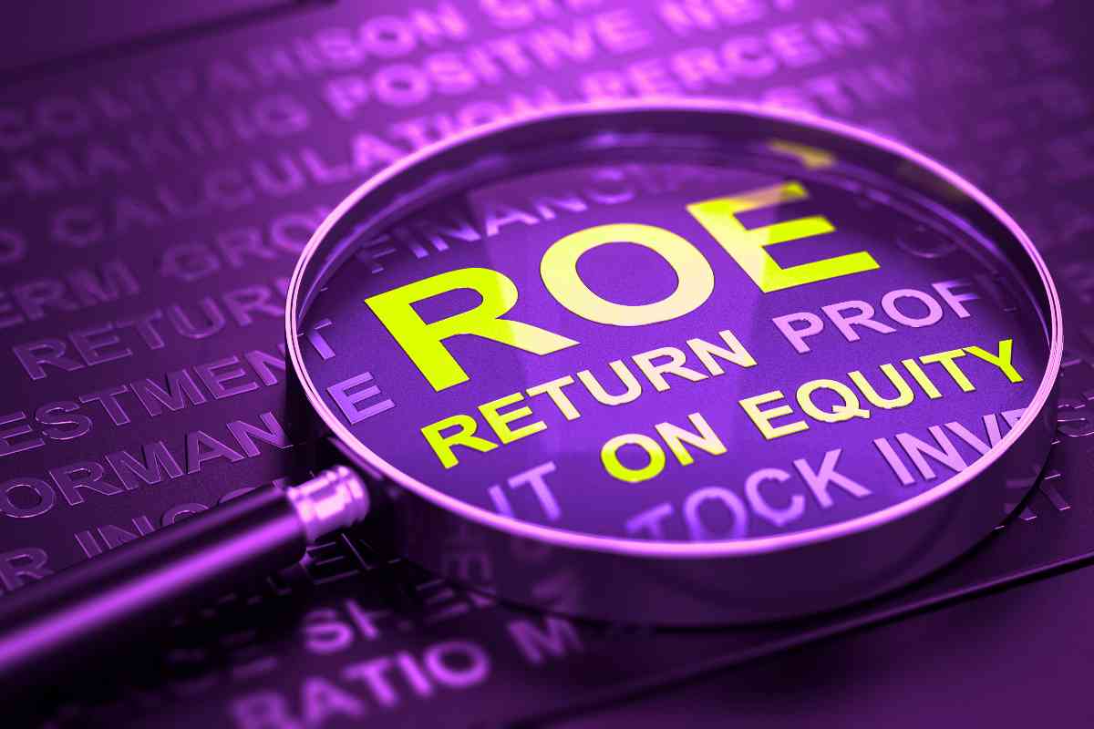 roe return equity