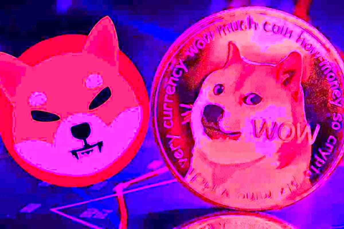 meme coin shib doge