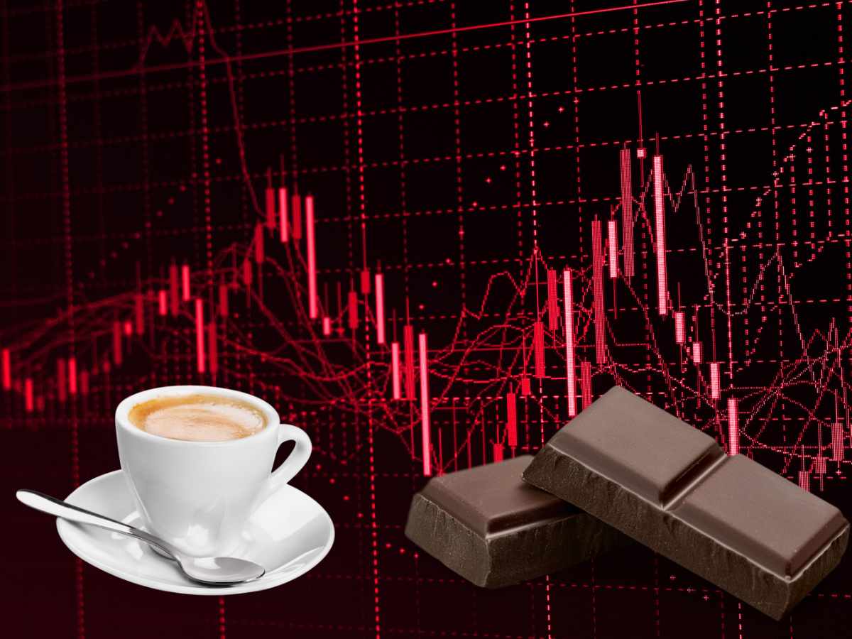 caffè cacao trading