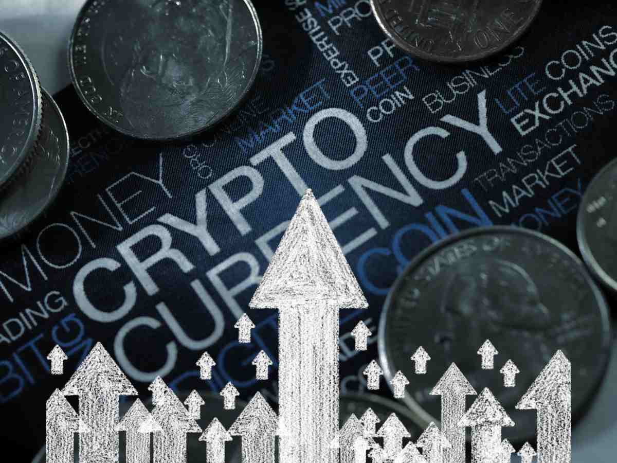 meme coin