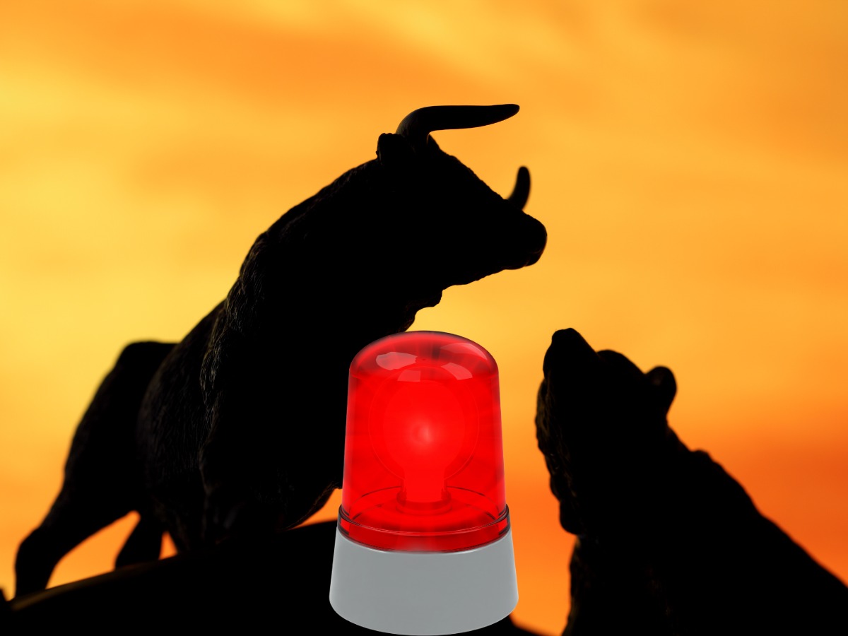 toro orso allarme