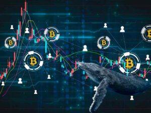 bitcoin balene