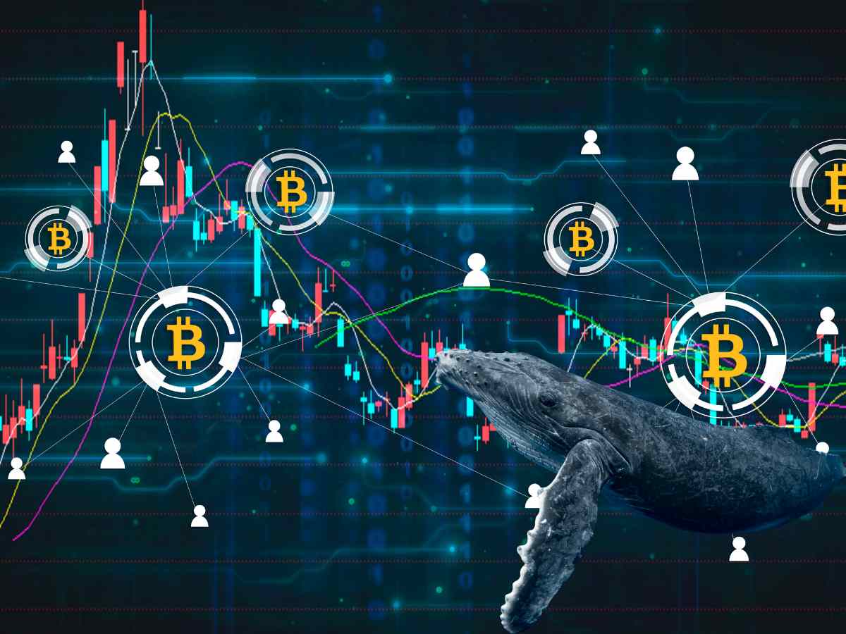 bitcoin balene