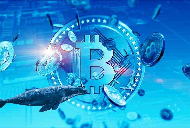 bitcoin whale