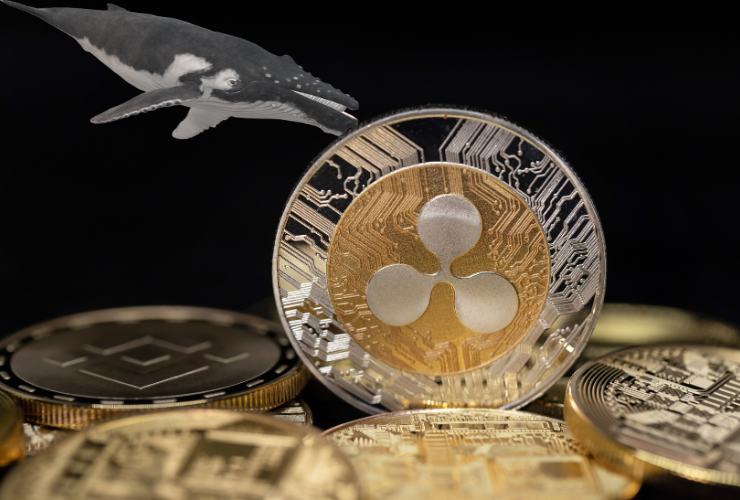balene xrp
