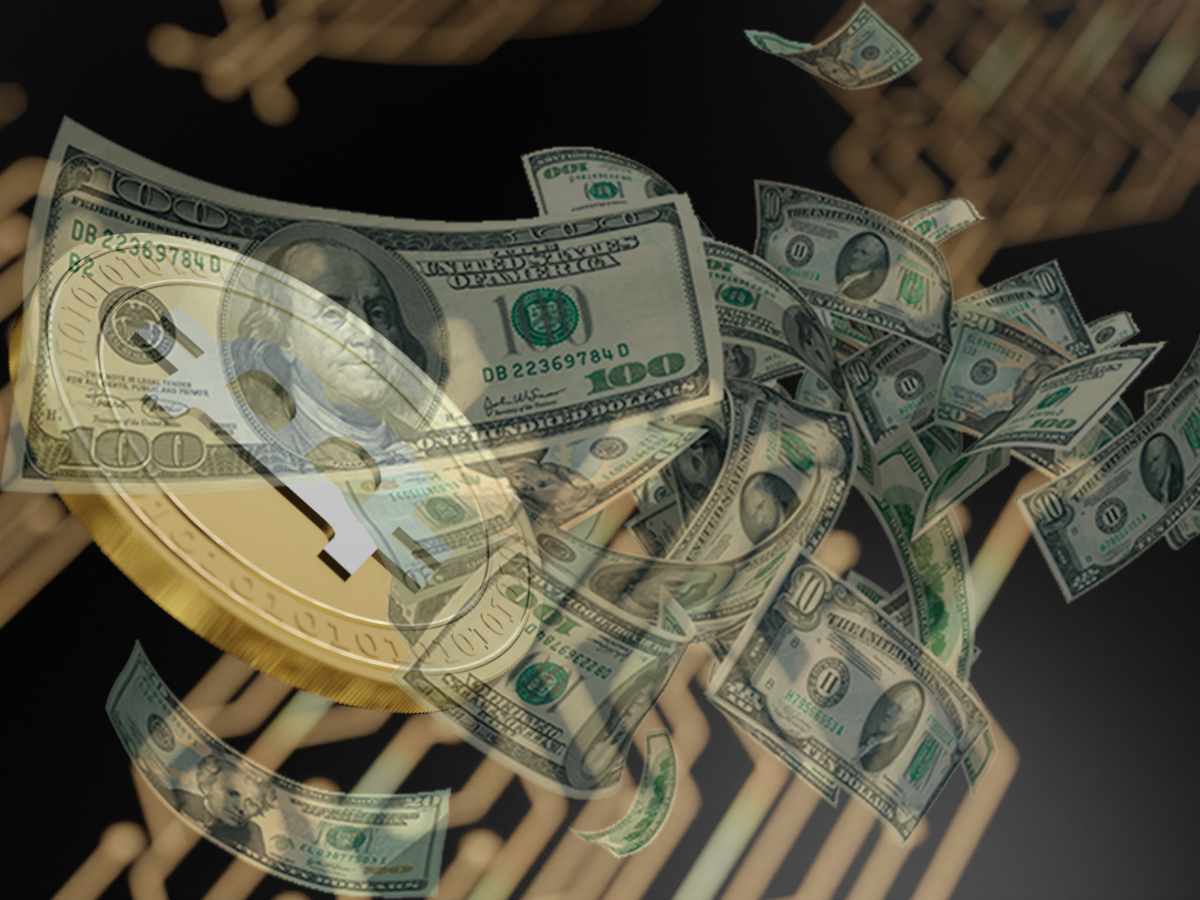 crypto dollaro
