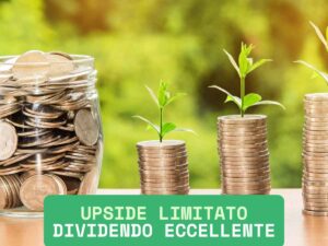 dividendo profitto