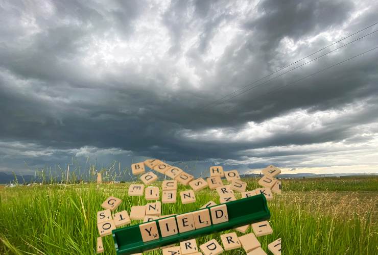 tempesta dividendi