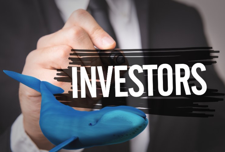 investitori balene