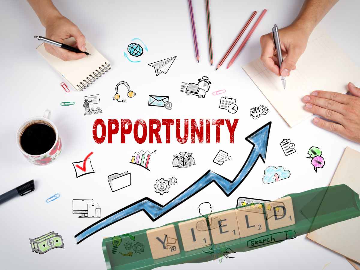 opportunità dividendo