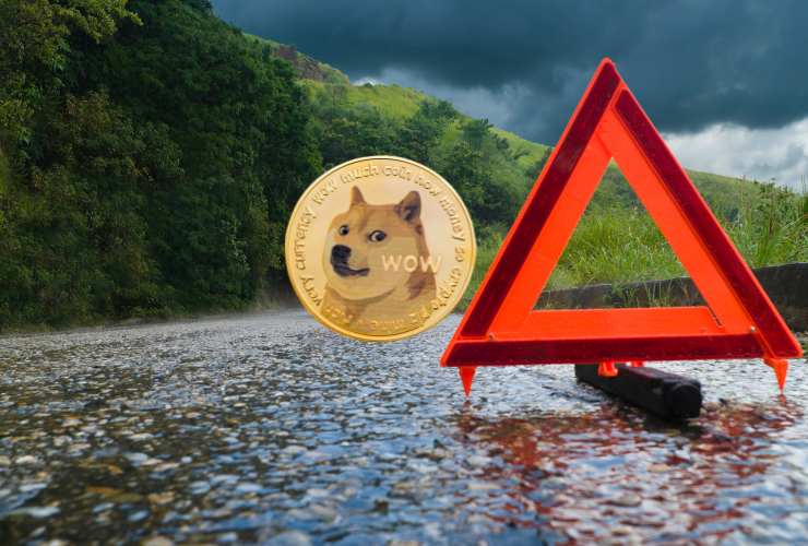dogecoin supporto
