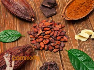 cacao rialzo