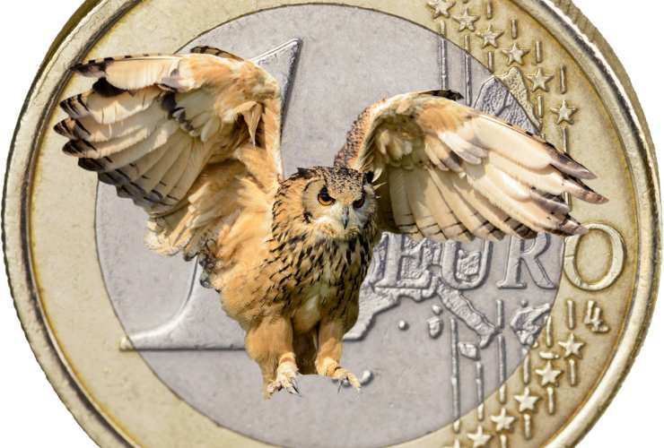 euro gufo