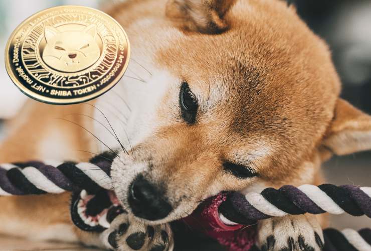 memecoin