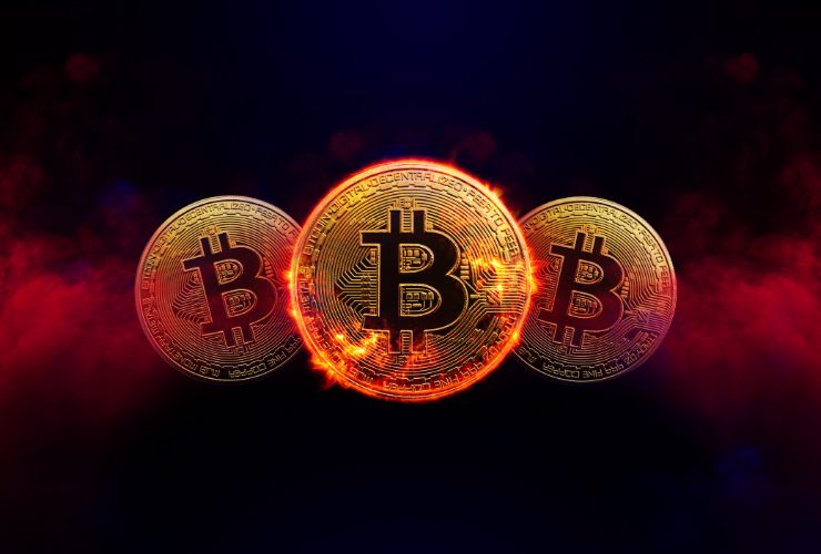 halving bitcoin