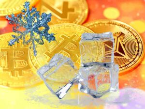 crypto wallett