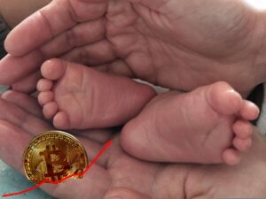natalità bitcoin