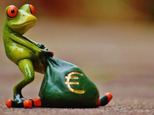 Rana con sacco di soldi