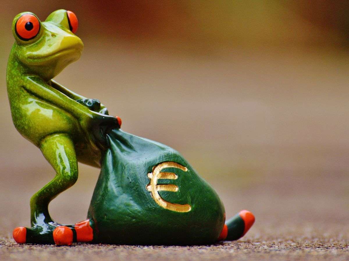 Rana con sacco di soldi