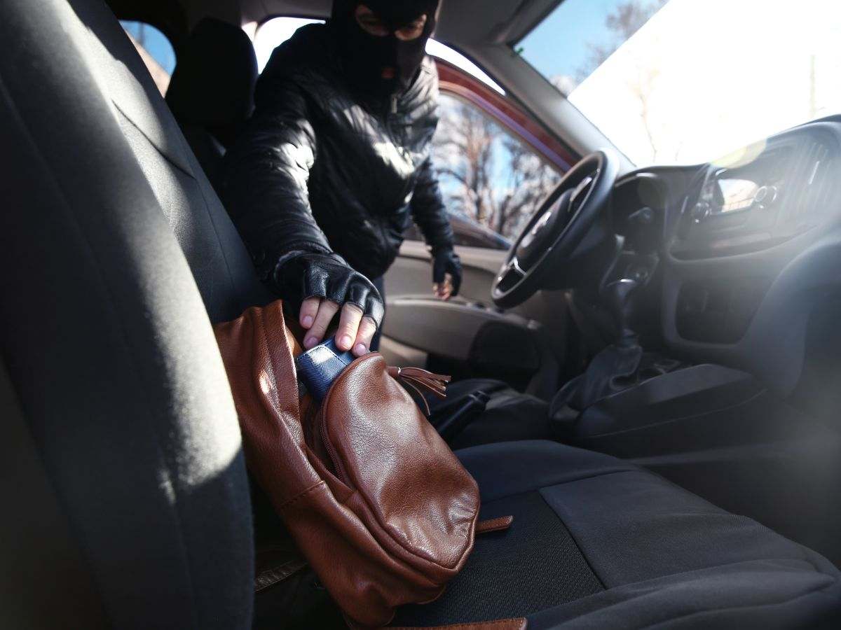 Ladro che ruba borsa